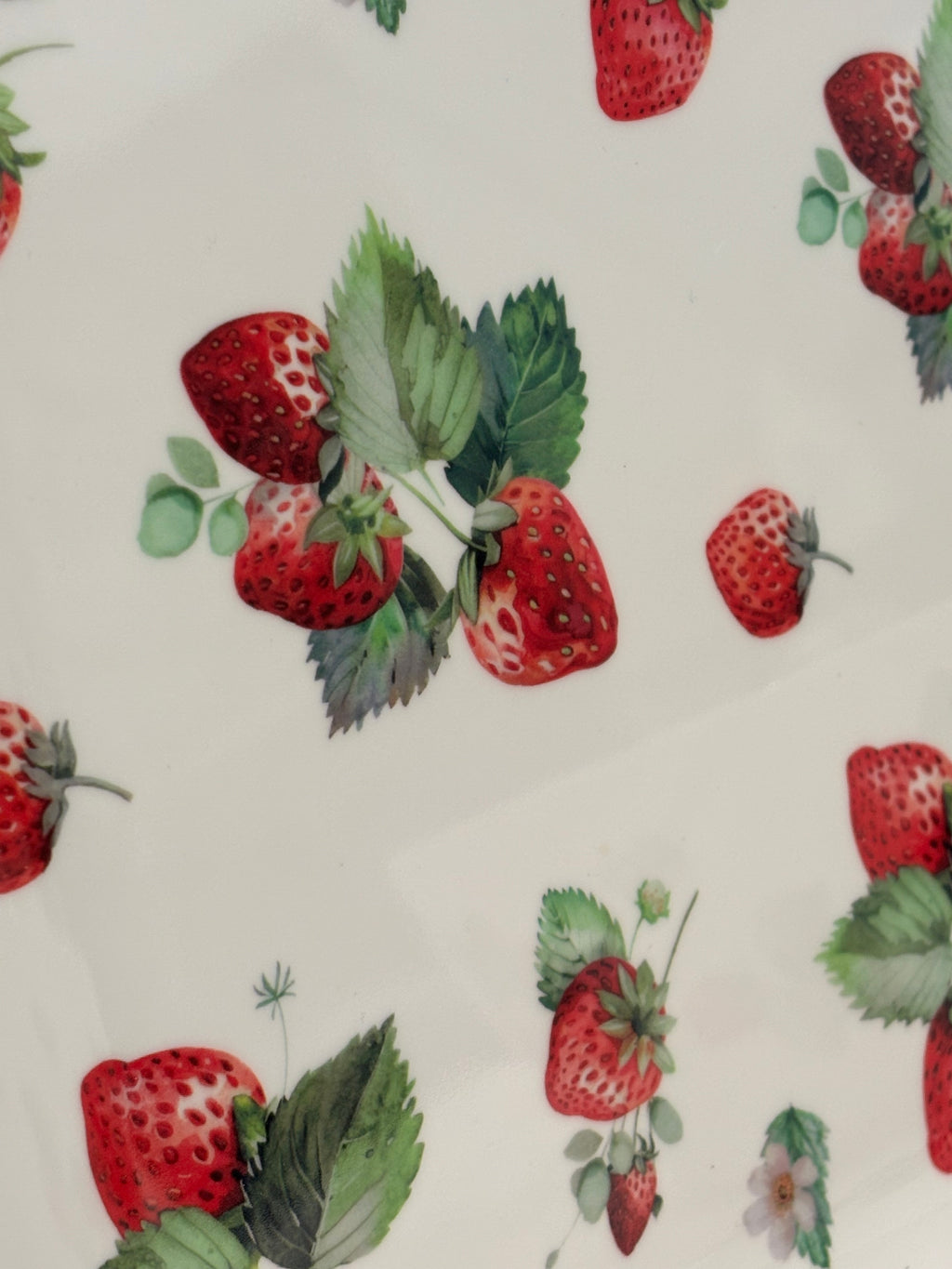 Ensemble Fraise Plateau & Saladier en Mélamine