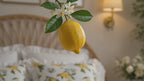 Housse de couette Dolce Vita - 200x200- 100% coton